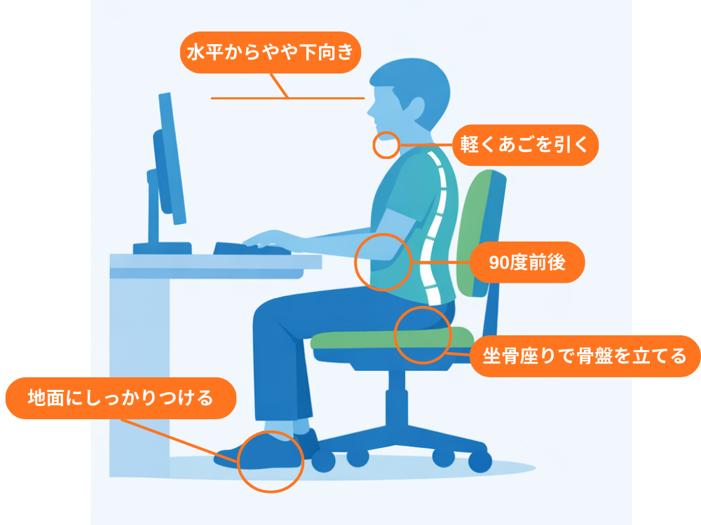 良い姿勢でノートパソコンの前に座るデスクワーカーの姿に良いポイントとなる部分を説明している図。
目線は水平からやや下向き。軽くあごを引く。肘は90度前後。坐骨座りで骨盤を立てる。足は地面にしっかりつける。
という説明がされている。